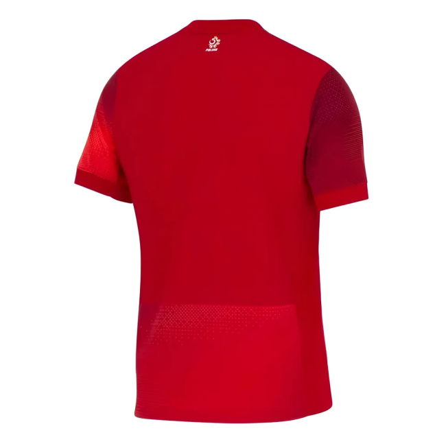 Poland Soccer Team Fan Jersey - Adults Version (Lewandowski 9)