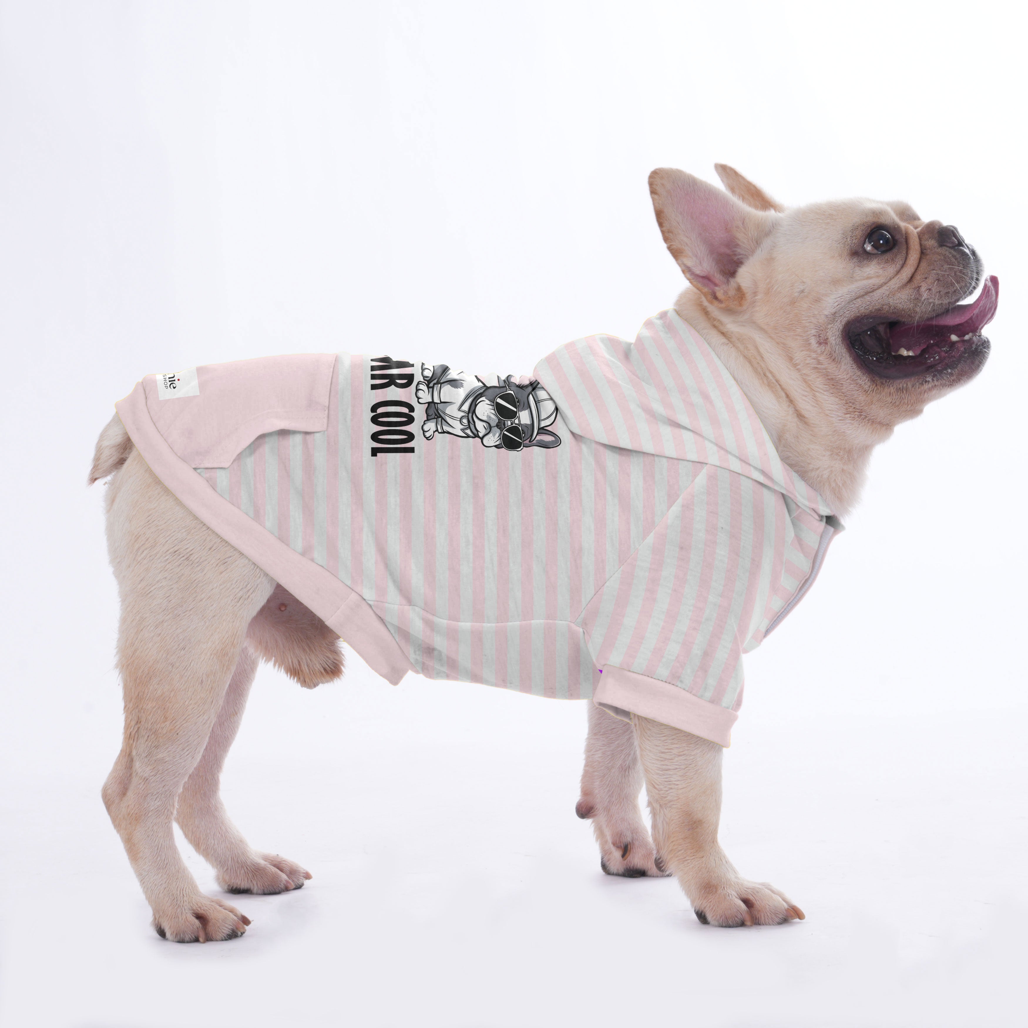 Waffle- Hoodies for French Bulldog | Frenchie Shop Original