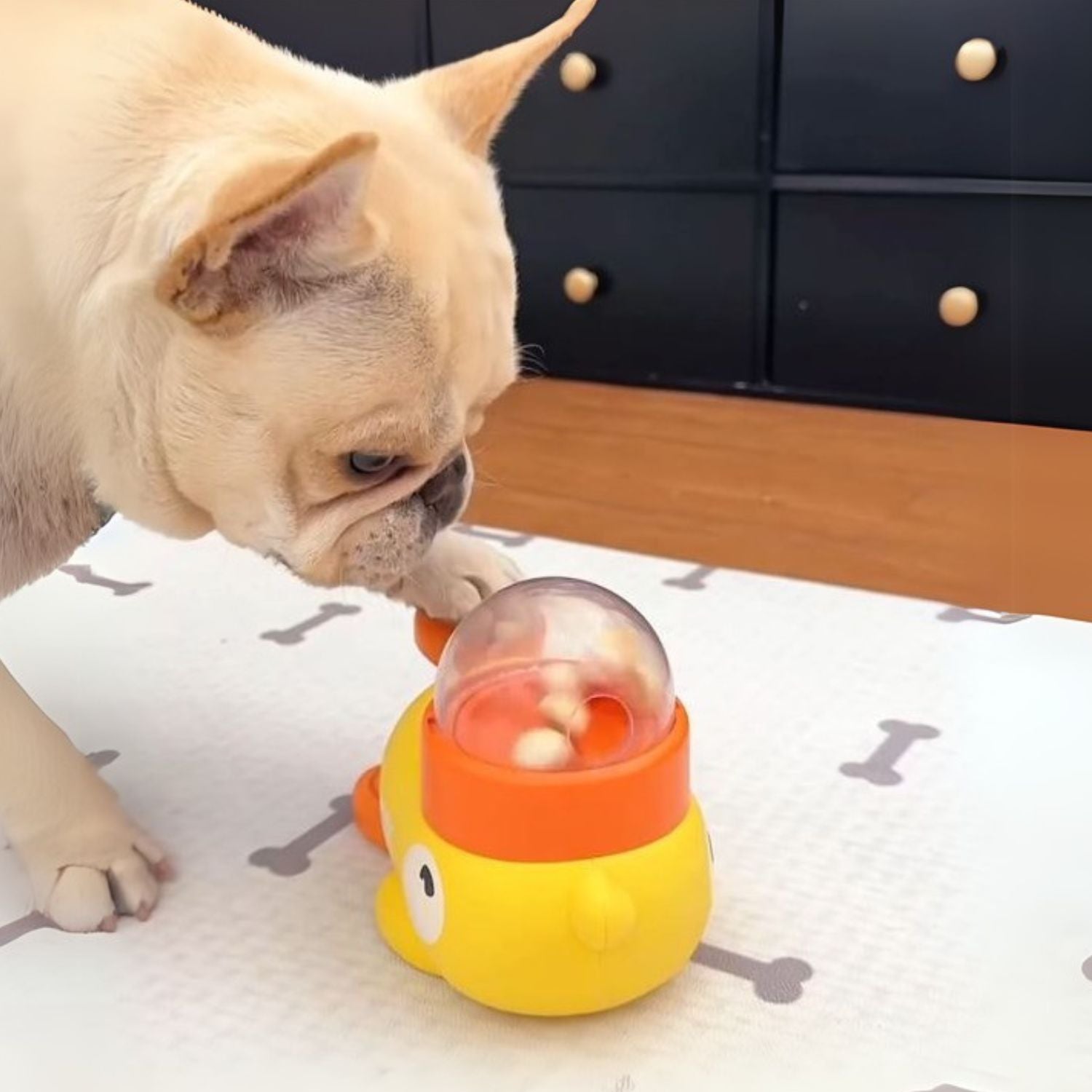 French Bulldog Frenchie Food Puzzle Toy – Slow Feeder Dispenser For