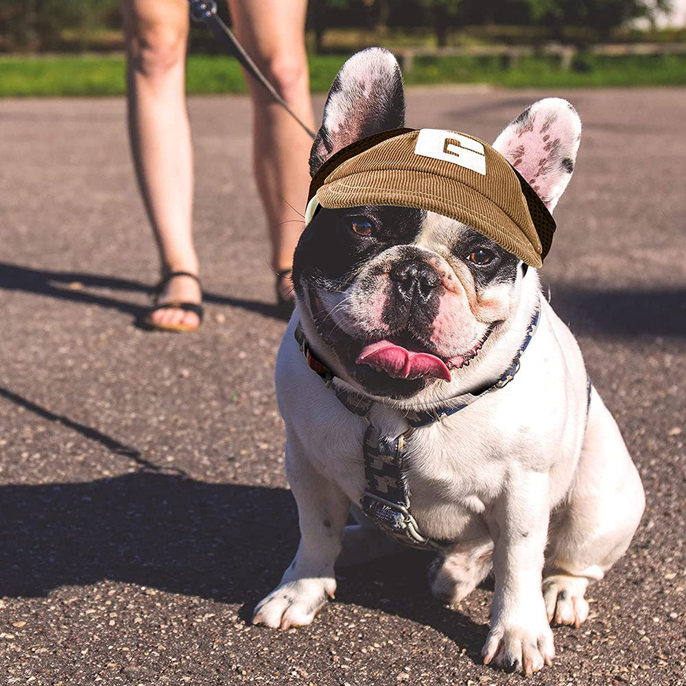 Warm French Bulldog Baseball Cap Sun Protector Summer Wear