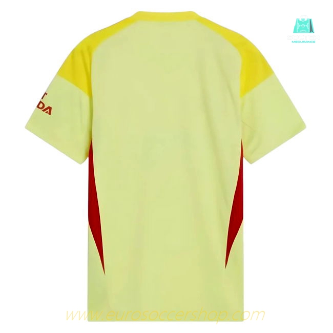 2025-2026 Arsenal Home Goalkeeper Shirt (Yellow) (Seaman 1)