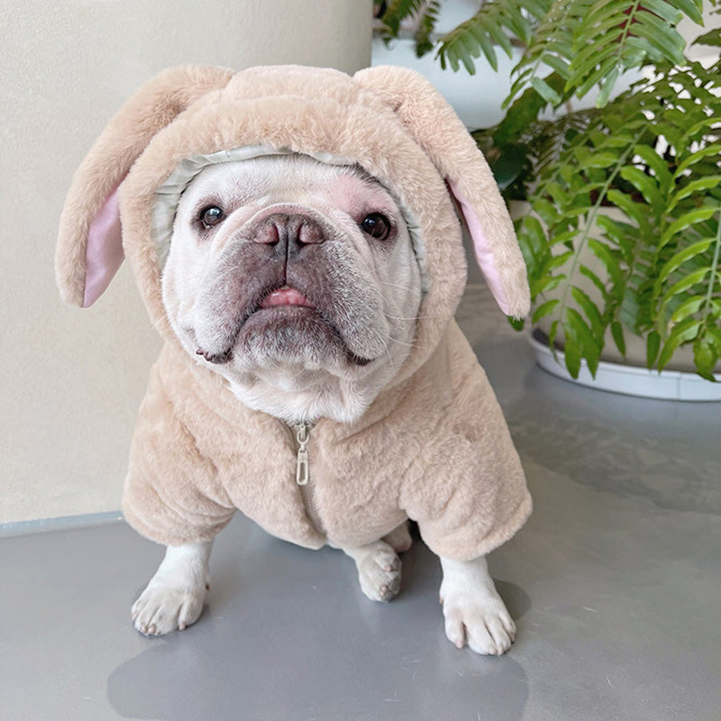 FrostWrap Frenchie Winter Jacket Thickened Plush Hibernation Sweater