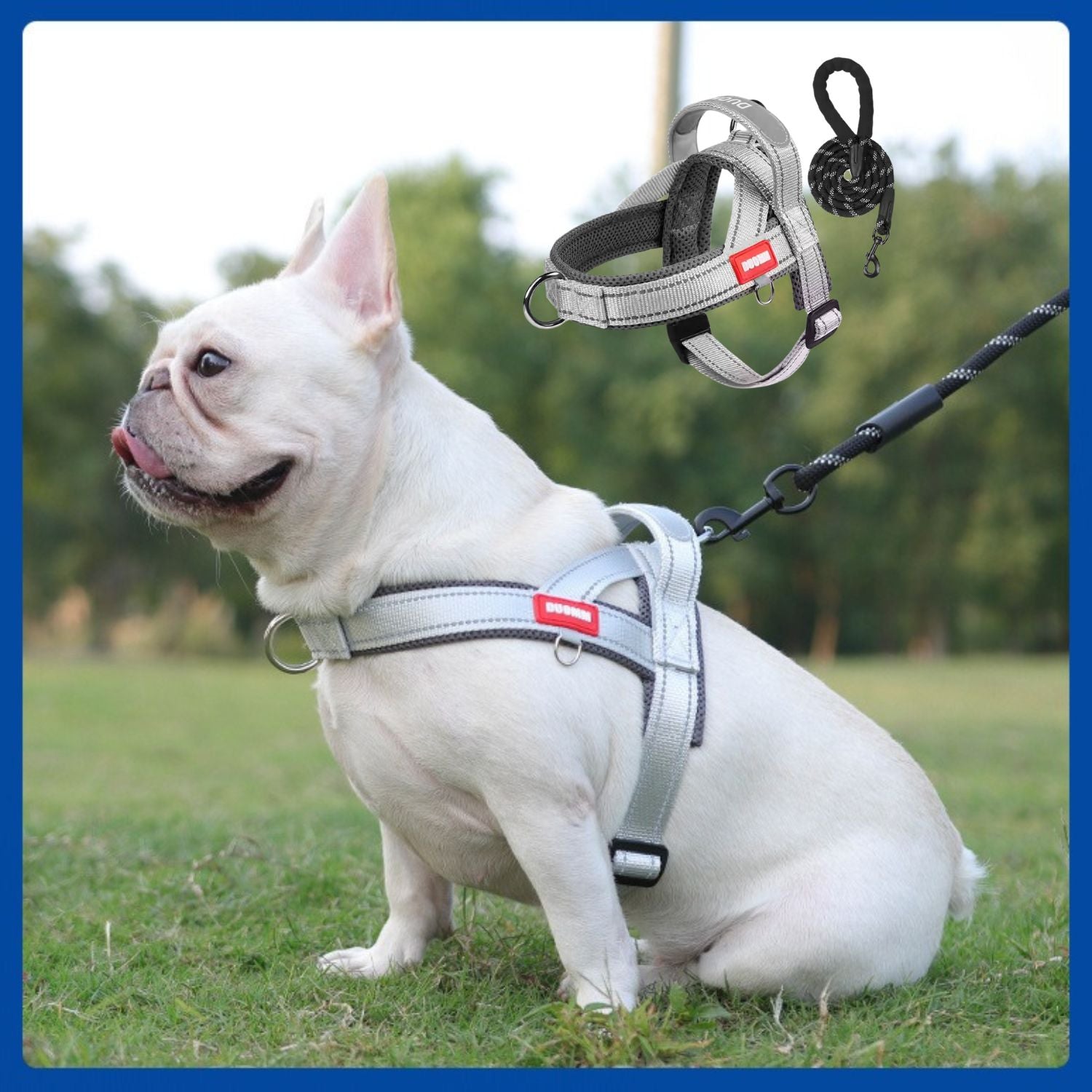FrenFit Frenchie Harness and Leash Set – No-Pull Y-Shaped Stylish Fit