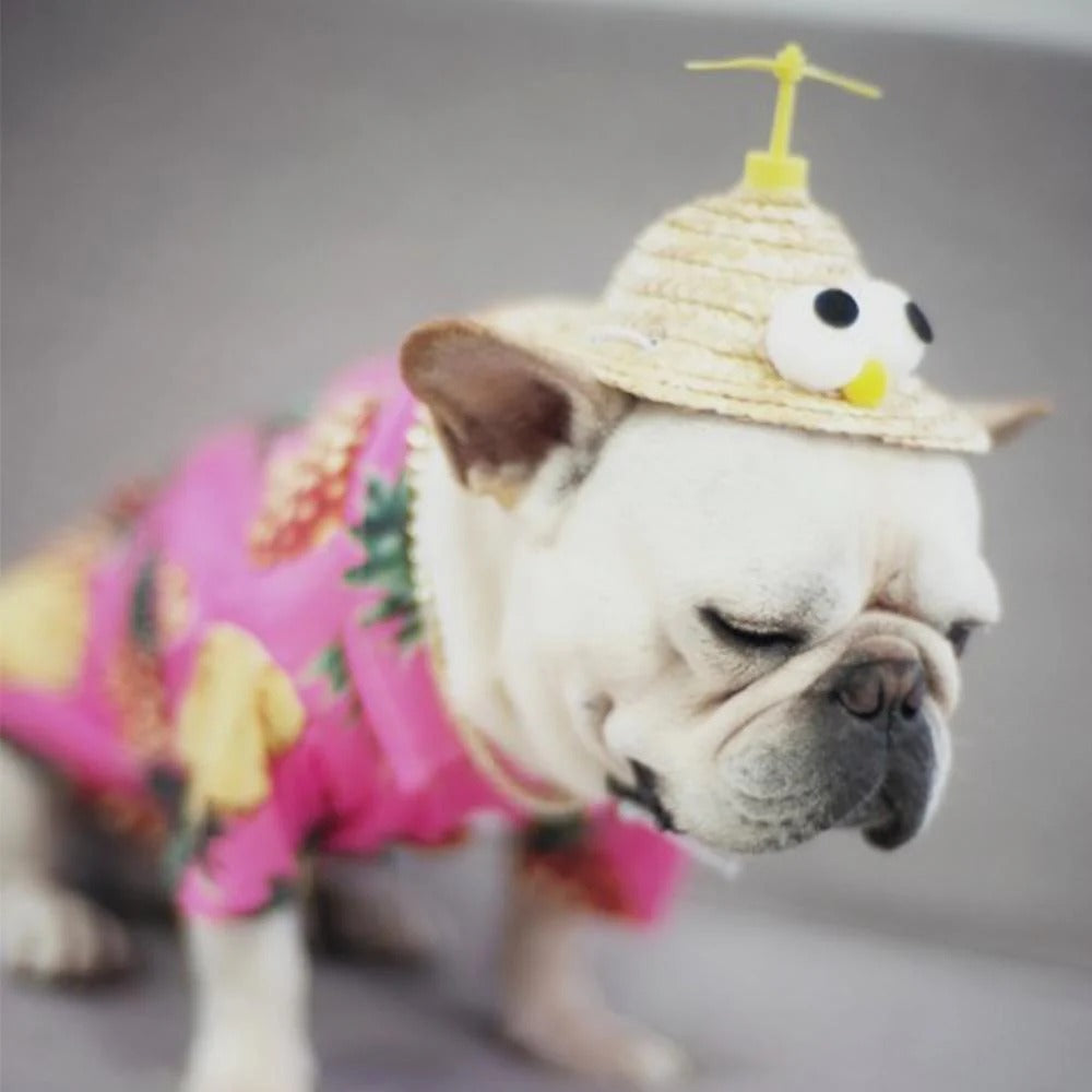 French Bulldog Twirlcap Frenchie Spinning Straw Hat – Cute Propeller
