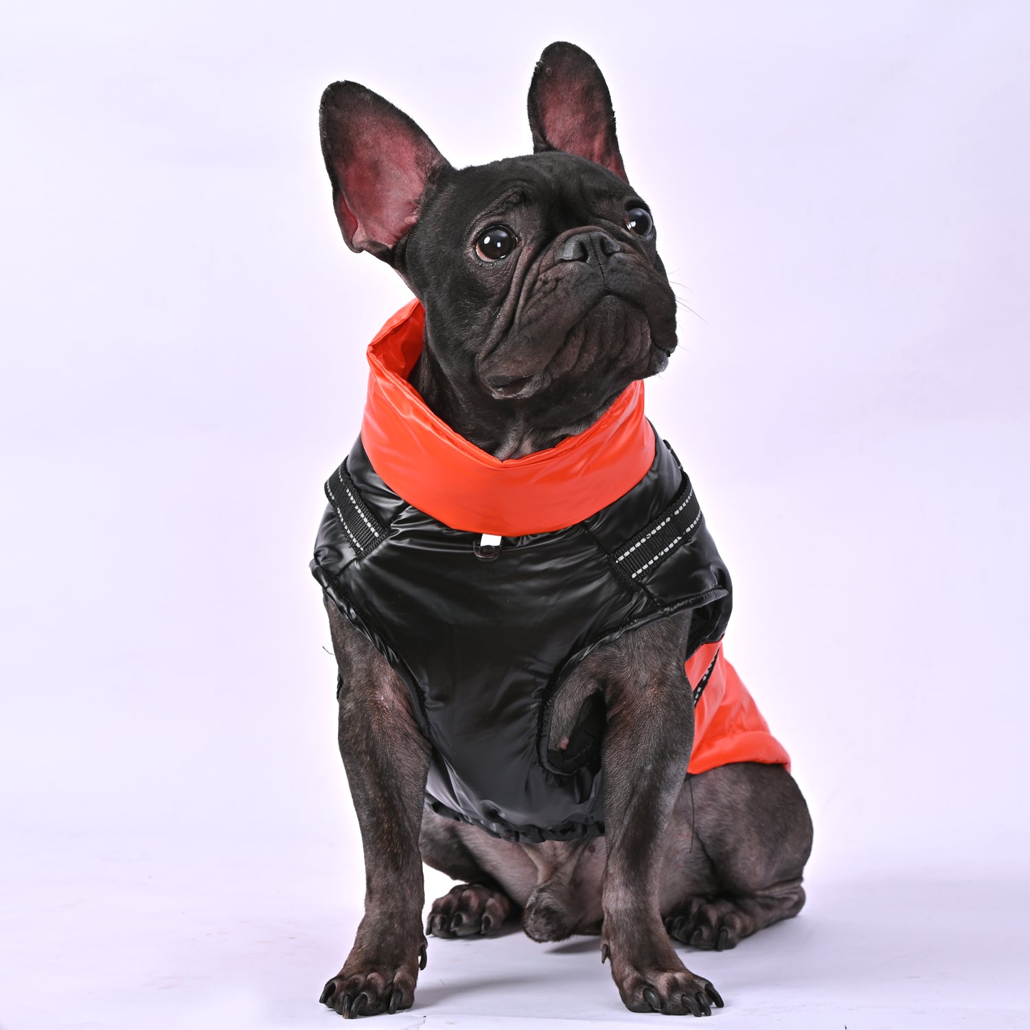 Frenchie-Fan Snowy Snuggles Frenchie Warm Reflective Winter Jacket V1...