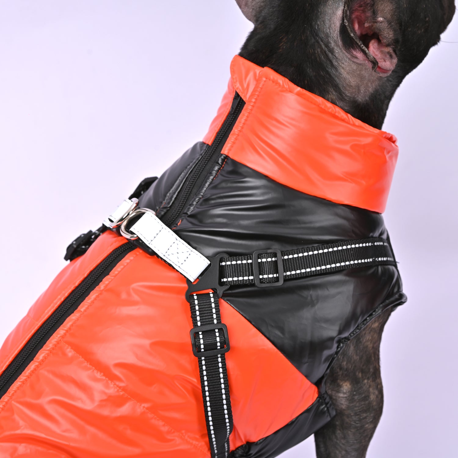 Snuggles Frenchie Warm Reflective Winter Jacket V1 Summer Wear