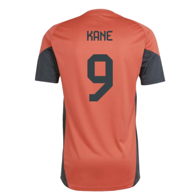 Replica Quality Bayern Munich Training Fan Jersey (Adults) (Kane 9)