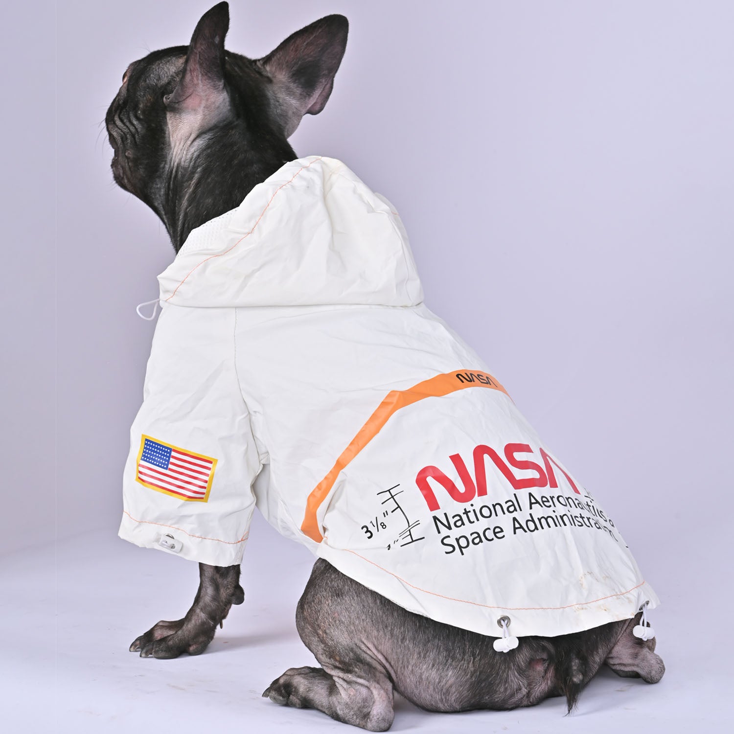 Lifestyle-Driven Astronaut Raincoat For French Bulldog (ws213) for Ev...