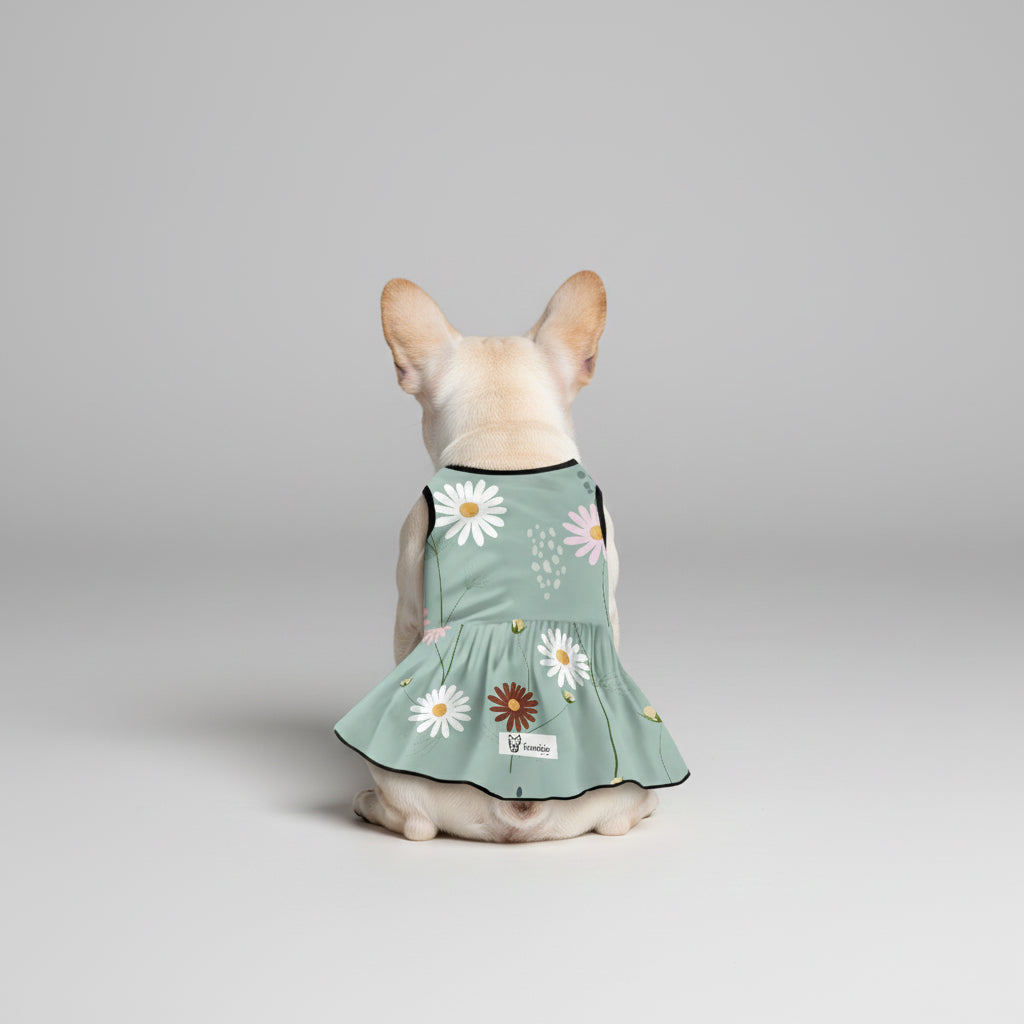 French Bulldog Dresses For Females Summer Wear | Non-slip Design