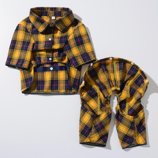 Cozy and Chic Frenchie Winter Outfit for Warmth and Style