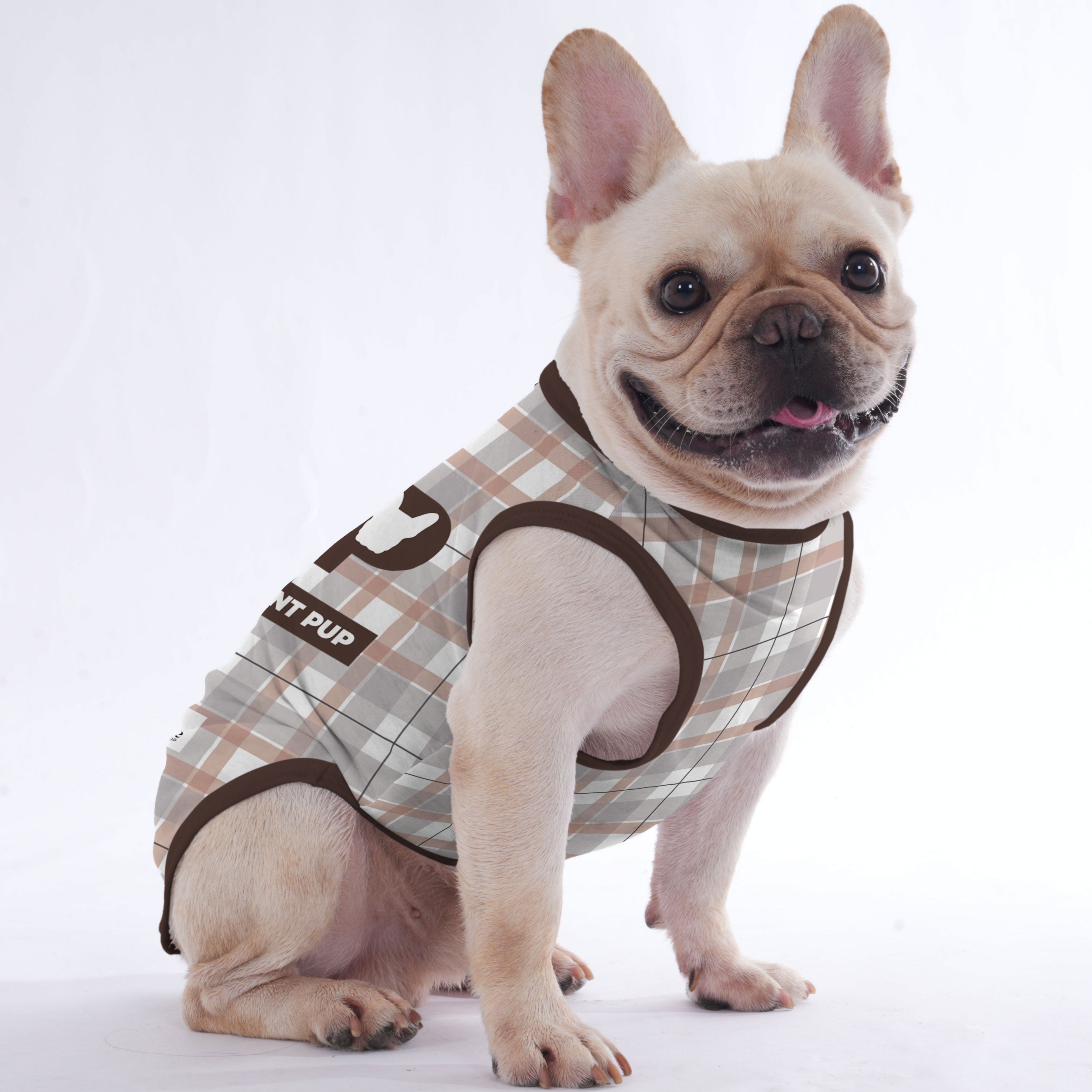 Minimal-Aesthetic Quincy - Shirt For Frenchies - Frenchie Shop Origin...