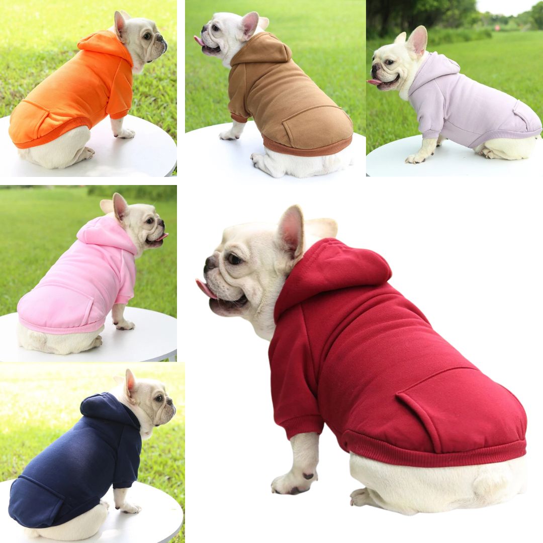 - Everyday French Bulldog Sweater Sports Style Pet Clothes Outdoor Style