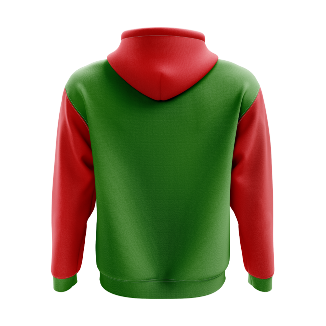 Jersey Chechnya Concept Country Football Hoody (Green) Team