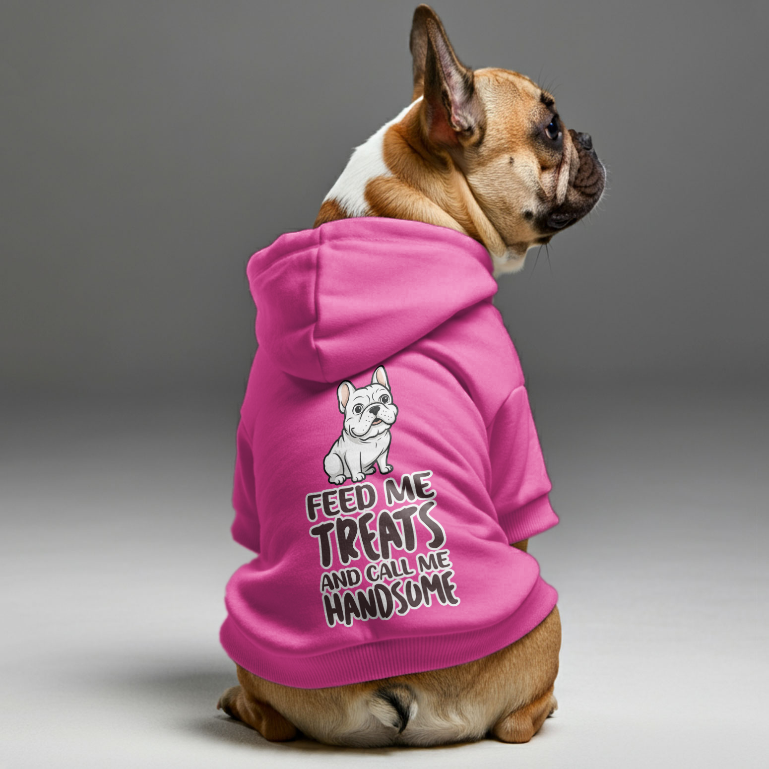 French Bulldog Feed Me Personalized French Bulldog Hoodies With Funny
