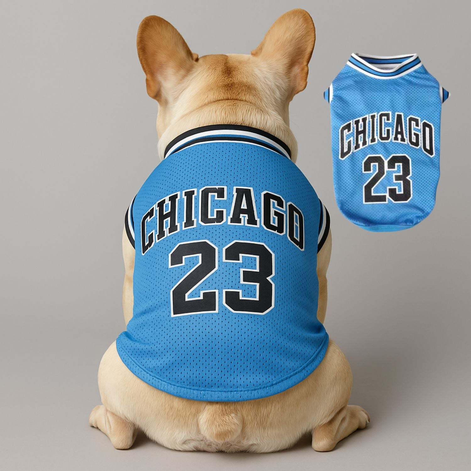 Frenchie Mesh Dog Basketball Jersey – Breathable Summer Sports T-Shirt