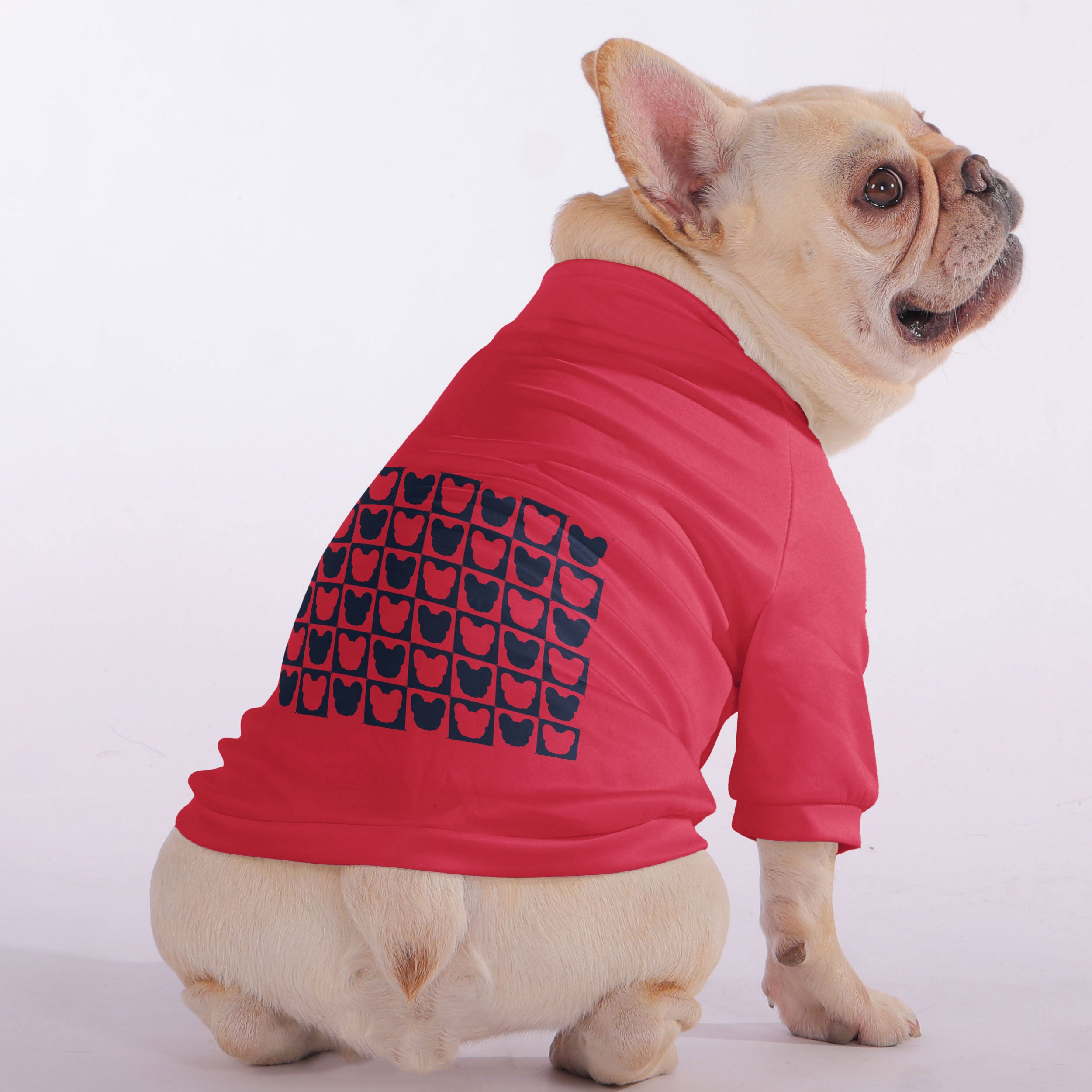 Teddy - Snuggly Zip-Up Sweatshirt for French Bulldogs