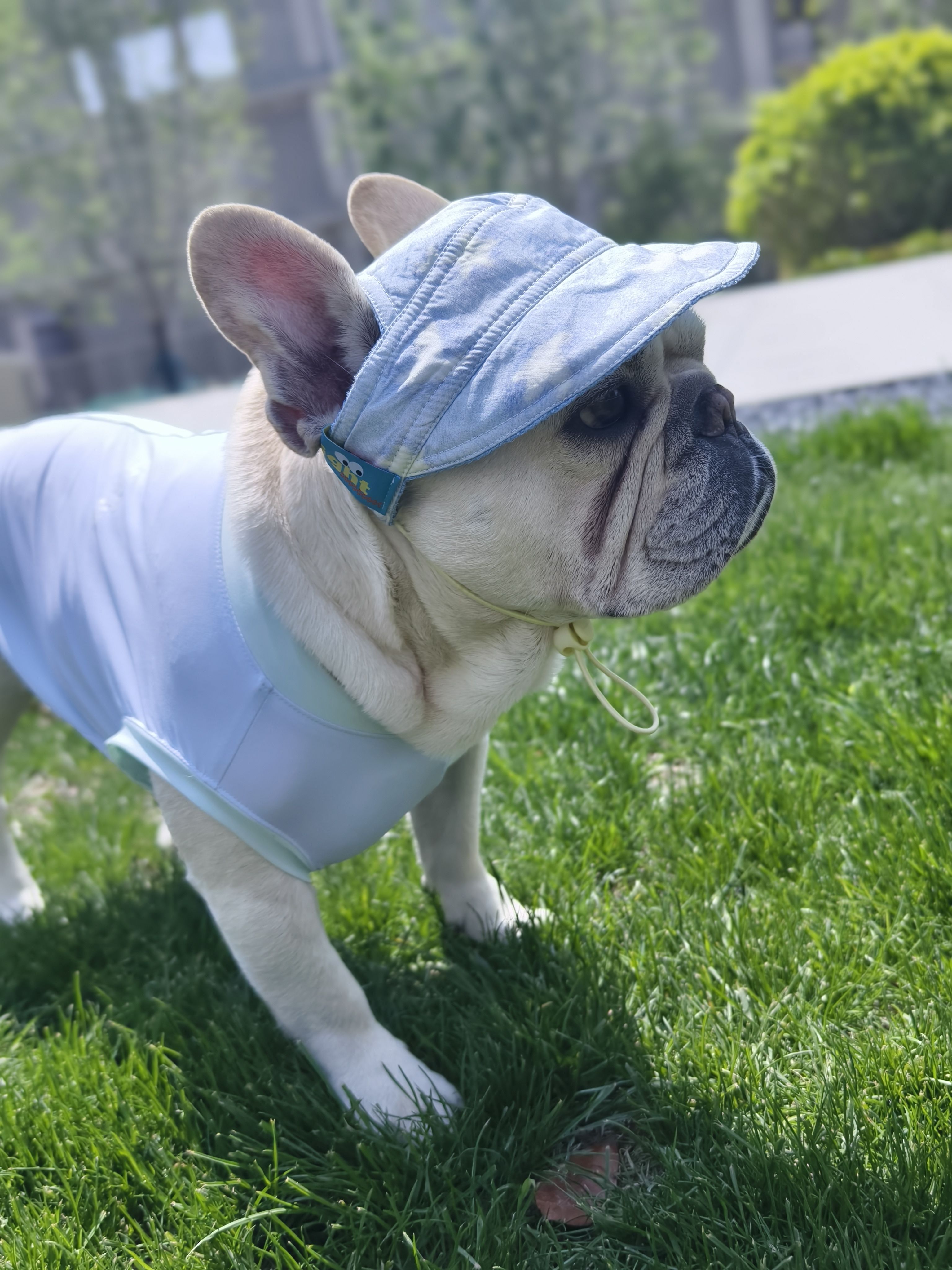 Everyday French Bulldog Hat – Adjustable Comfortable Denim Light Cap ...
