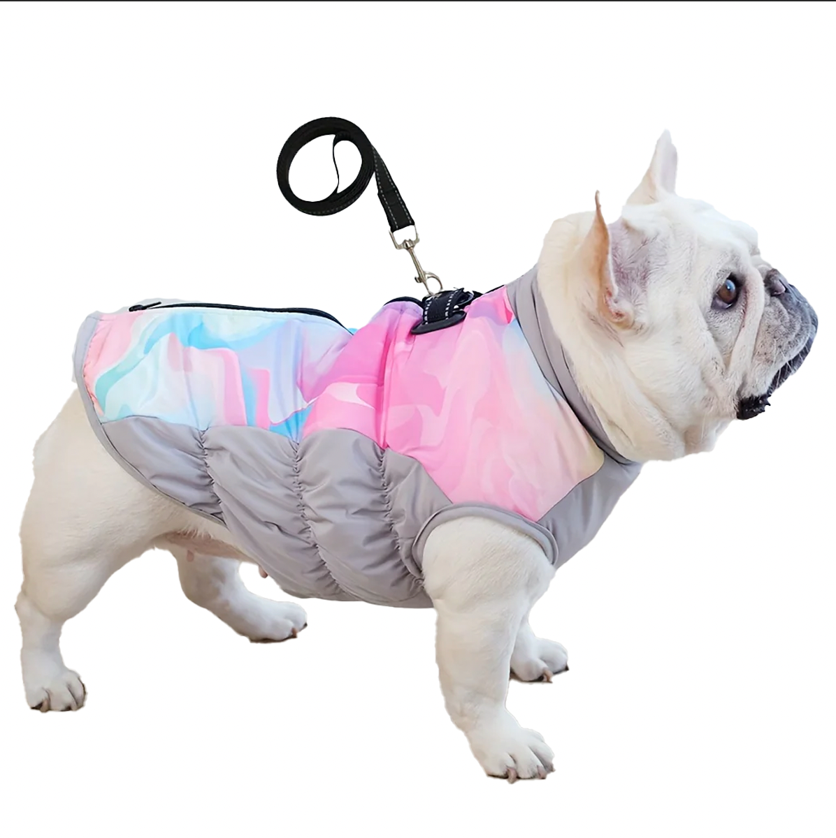 Winter Cozy Jacket With Leash Rope Summer Wear | Vet-recommended