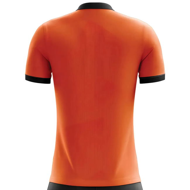 Latest Lightweight Holland Home Game Jersey (1)