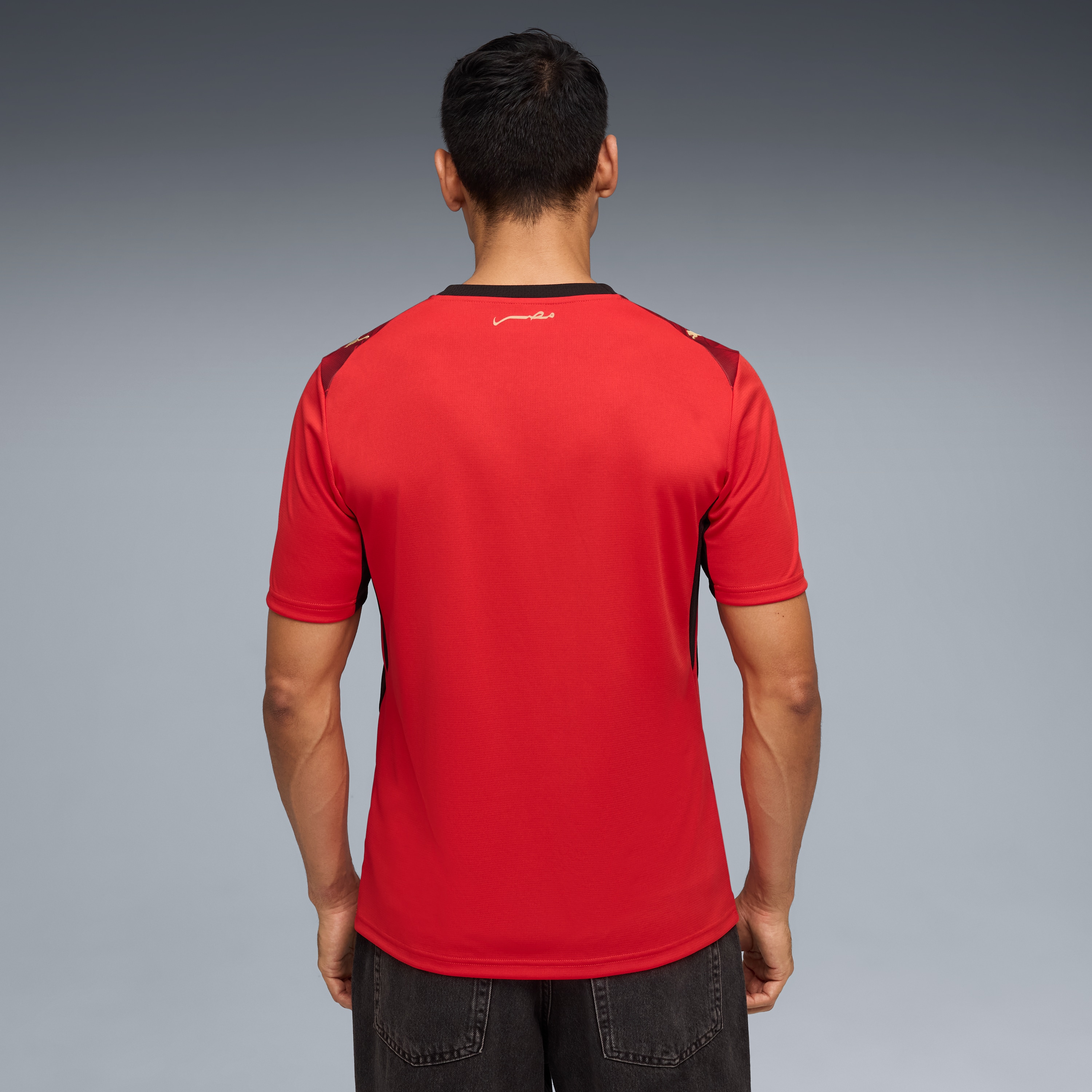 [SJH] Egypt National Team 2026 Home Replica Jersey - Red