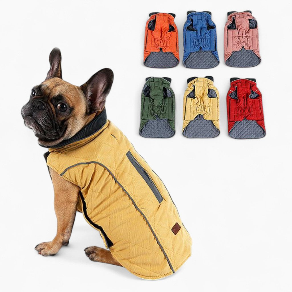Cooper jacket - Frenchie Waterproof jacket (CS19)