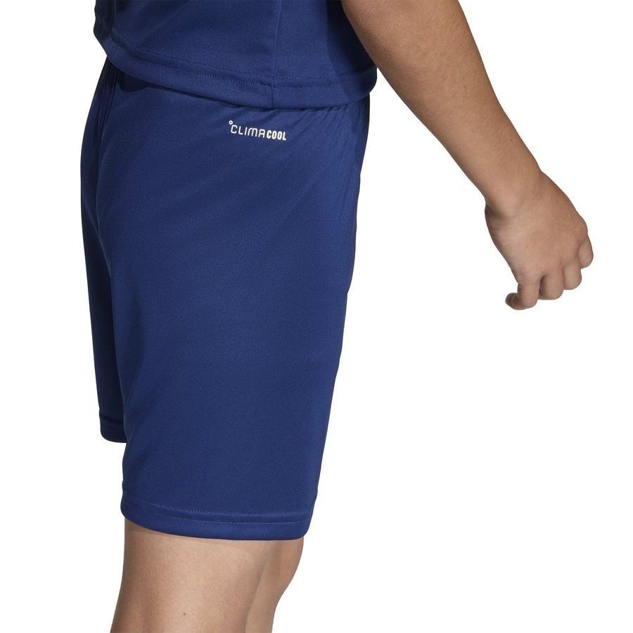 Strømsgodset Toppfotball adidas Treningsshorts Entrada 26 - Team Navy/White Kids