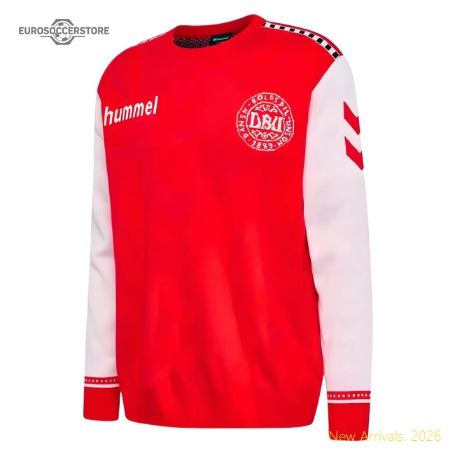 Pro Denmark 2024-2025 Regular Jersey - Breathability Mobility