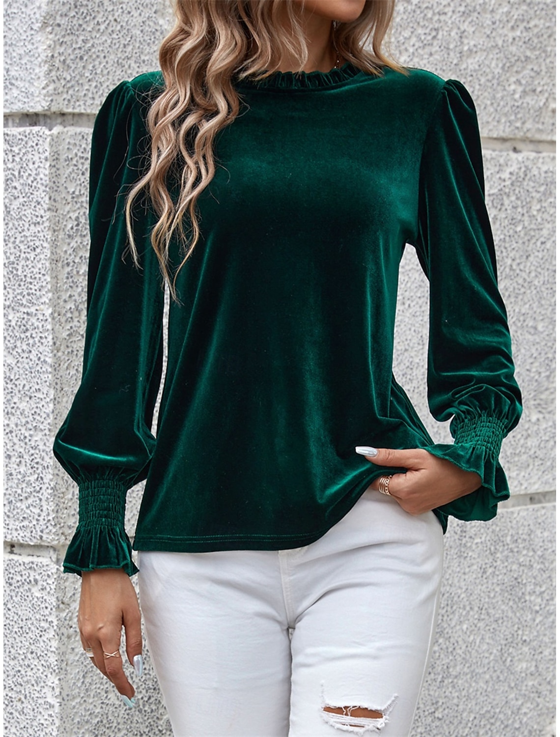 Women's Shirt Blouse Basic Casual Solid Color Regular Tops Long Sleeve Turtleneck Regular Fit Daily Fall Winter