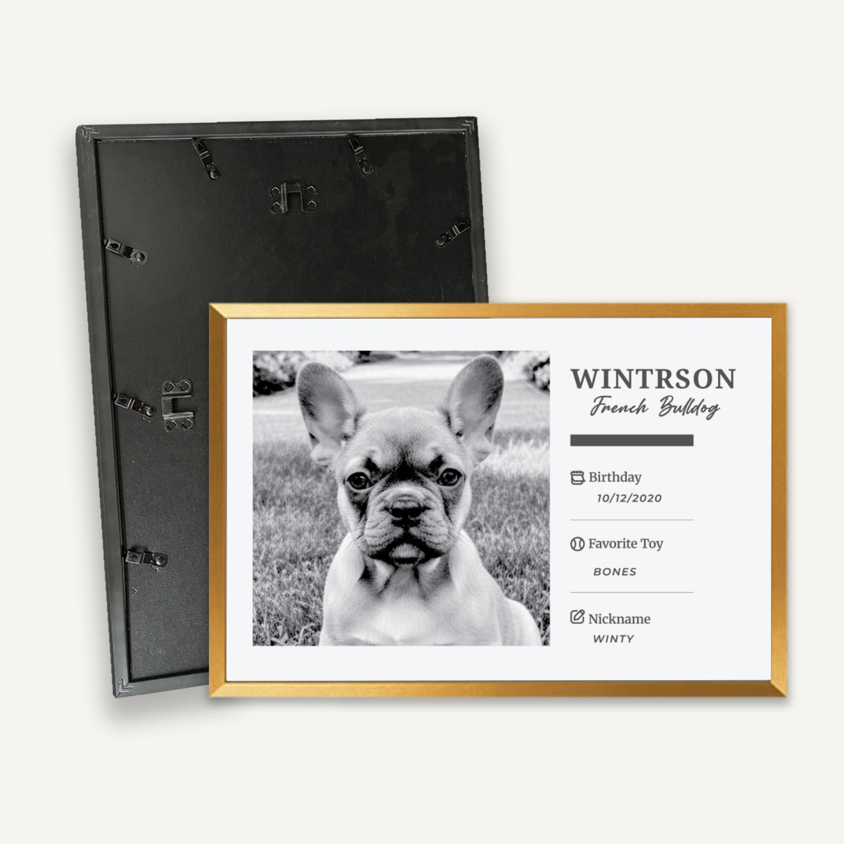 Stylish Tinman - Personalized Framed Poster • Wall Decoration for Pet