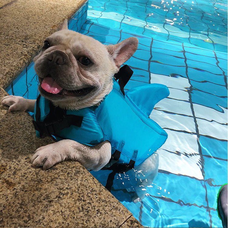 French Bulldog Shark Life Vest V2 (cs02) Essential Dog Supply