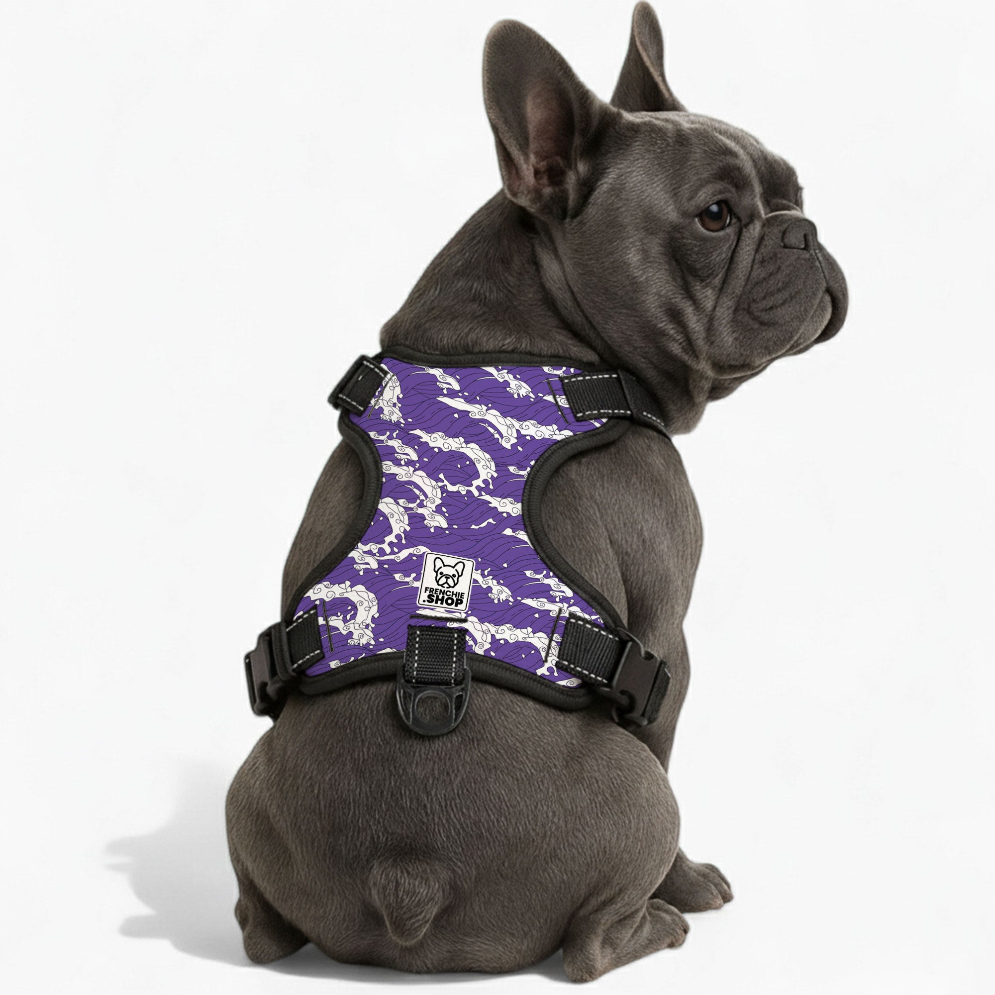 French Bulldog Edna No Pull French Bulldog Dog Harness Practical Dog Gear