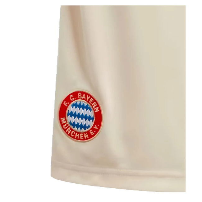 Bayern Munich (bayern) 2024-2025 Third - Authentic Fan Edition