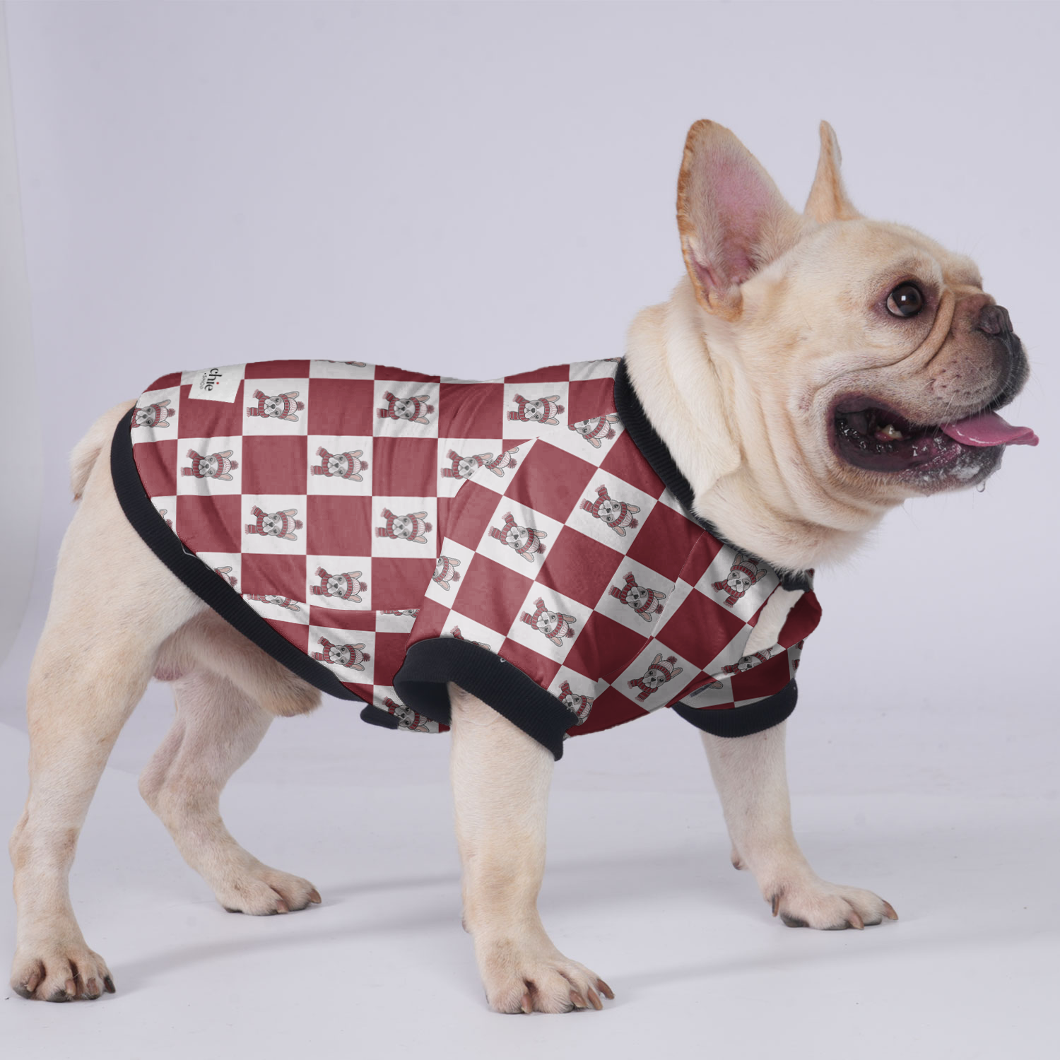 Winston - Premium Jacket For French Bulldog For Frenchie Pups