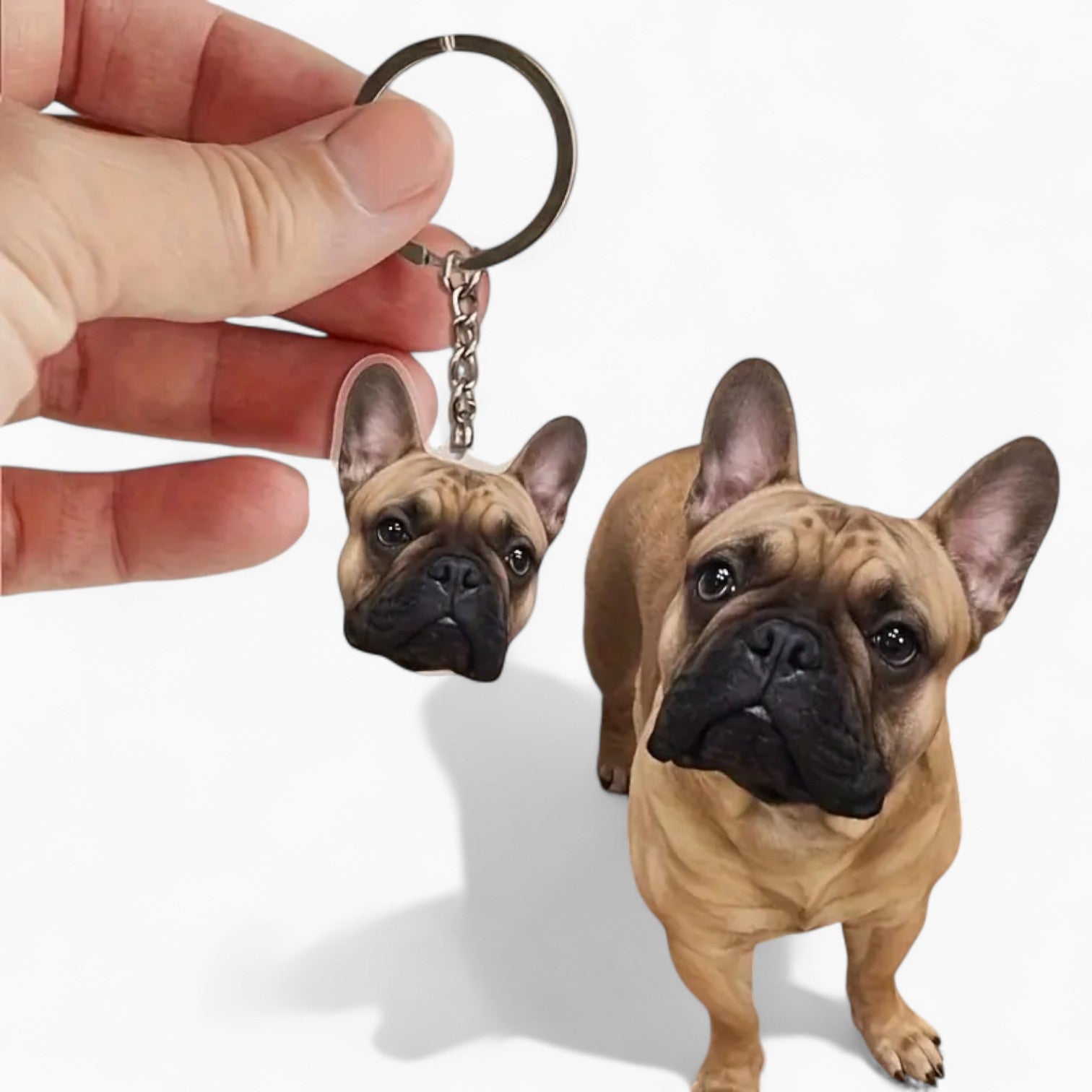 Lifestyle-Driven Keyfrench French Bulldog Keychain – Personalized Acr...