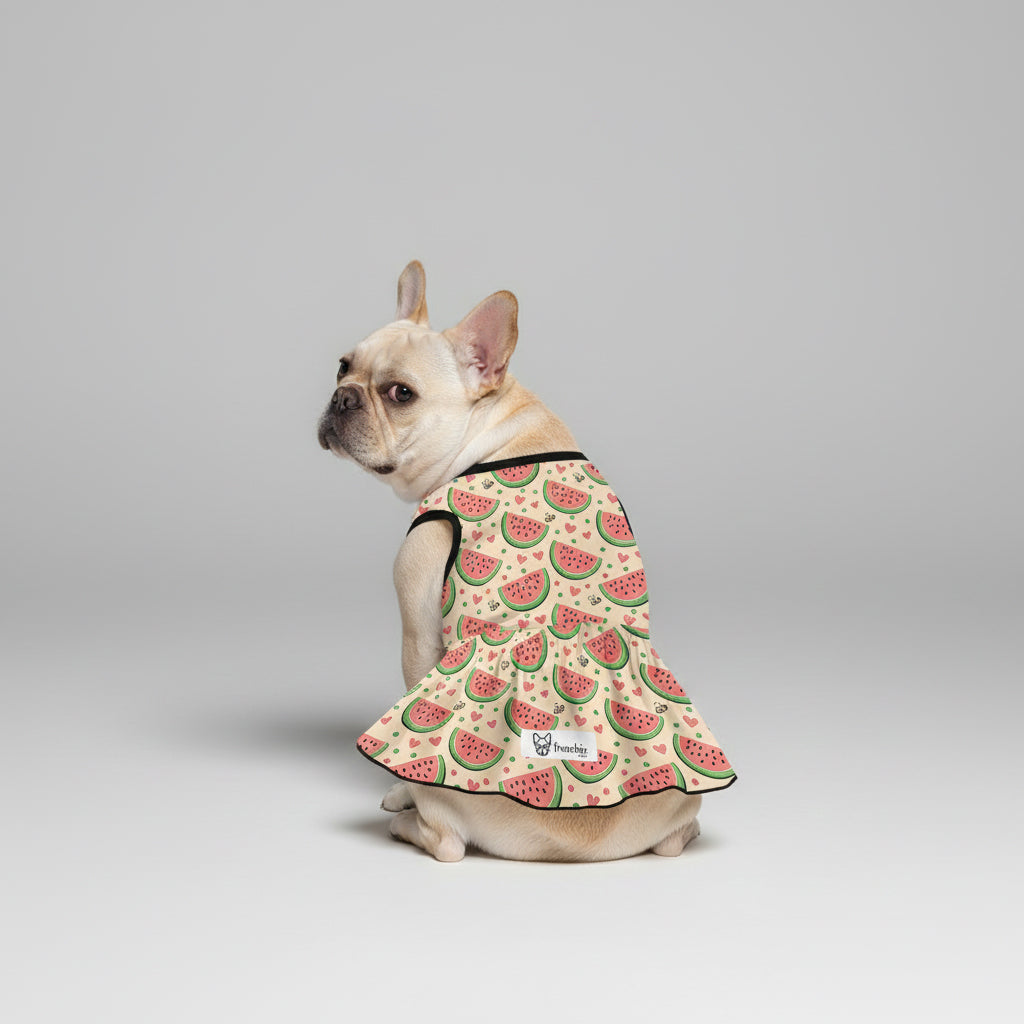 Leah - Warm French Bulldog Dresses For Females Dog Supplies