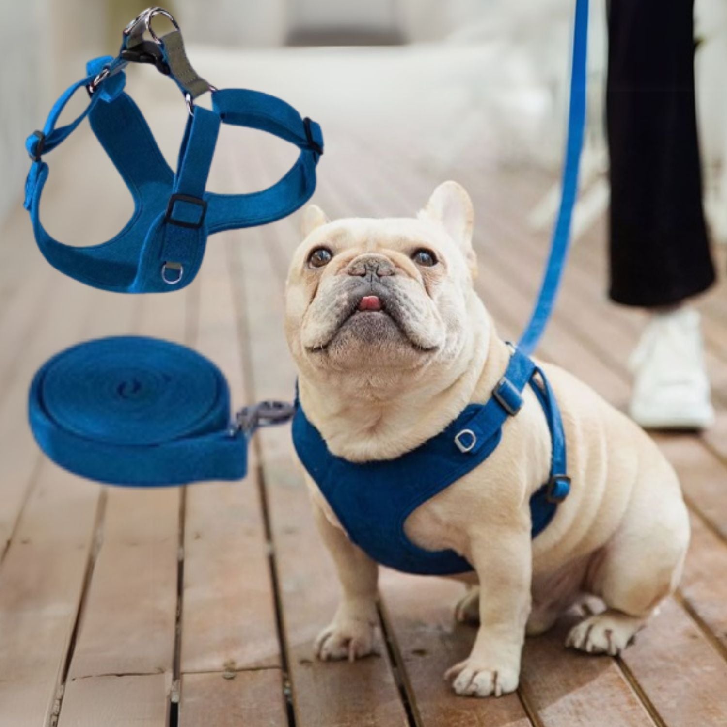 French Bulldog Bulldofit Luxury Suede Frenchie Harness – Breathable