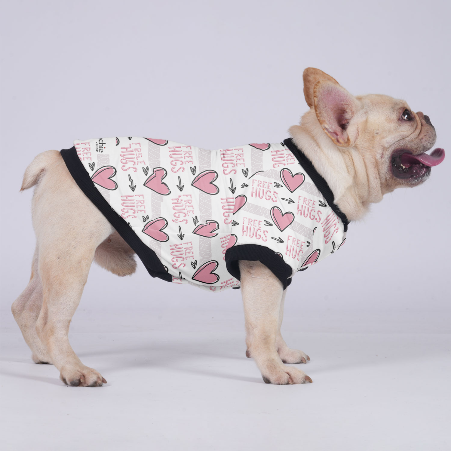 - Comfortable Jacket For French Bulldog Outdoor Use | Safe For Paws