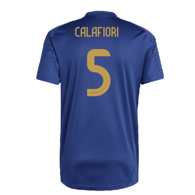 Match Worn Style Italy Training Professional Jersey 2024-2025