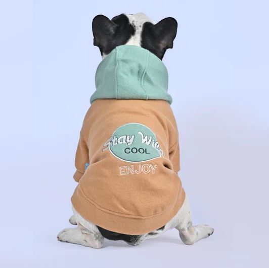 Stylish Wintersy™ - French Bulldog Soft Hoodie (wl03) for Fashion Lovers