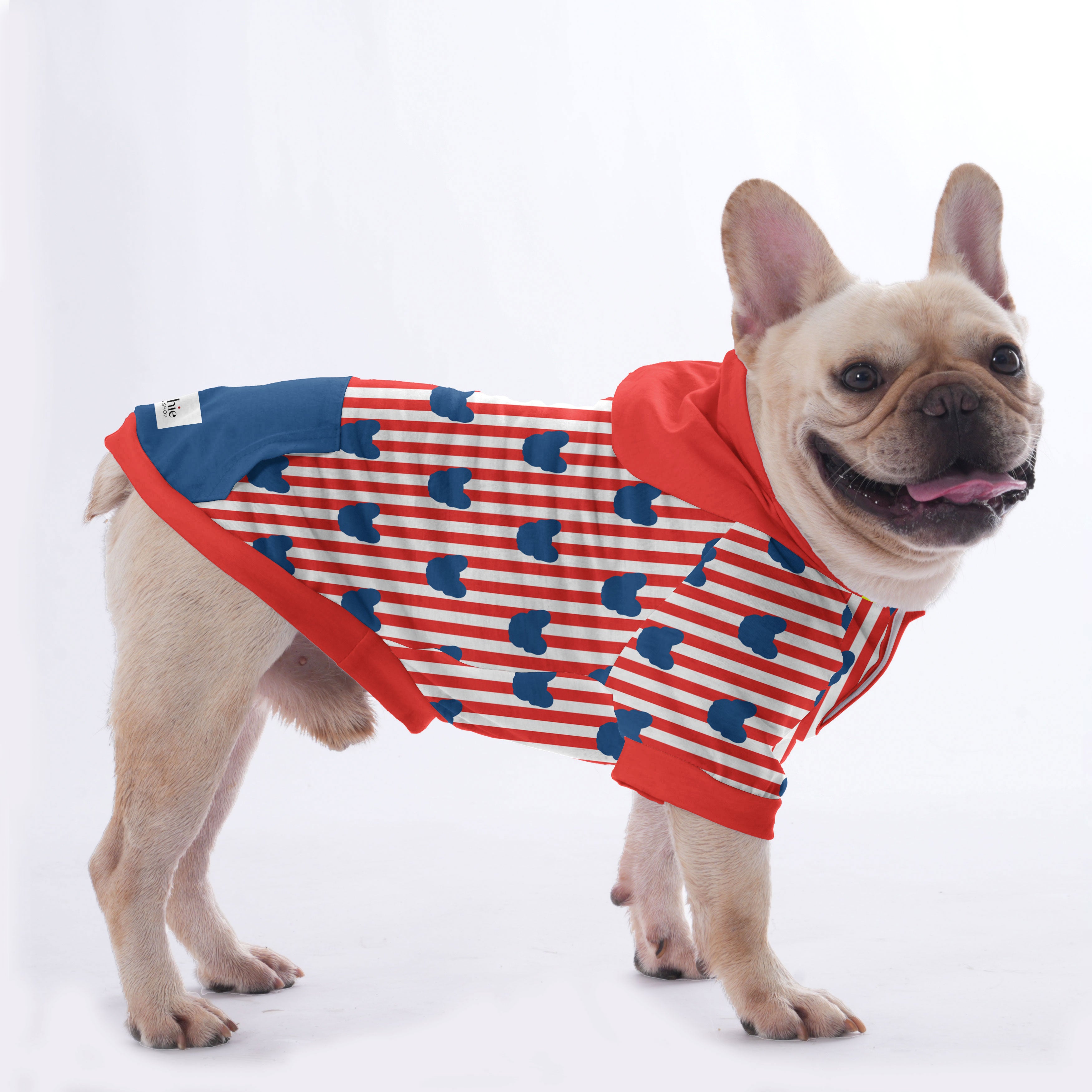 Poof - Hoodies for French Bulldog | Frenchie Shop Original