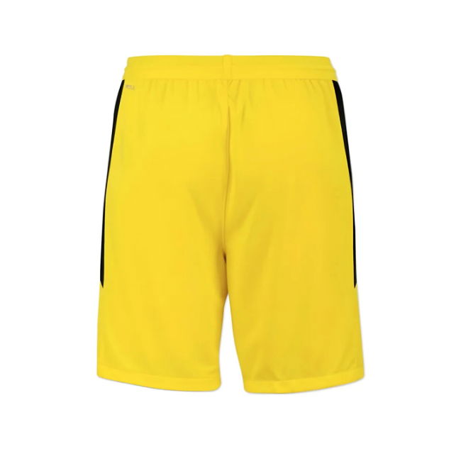BVB 2025-2026 Home - genuine contemporary football top v3.490