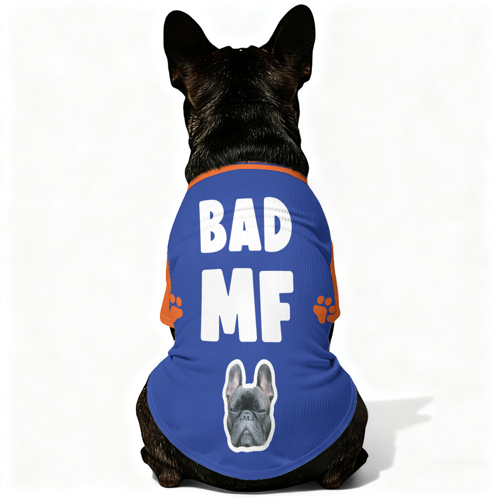 Personalized Wool Sweater For Frenchies Indoor Comfort | Premium Quality
