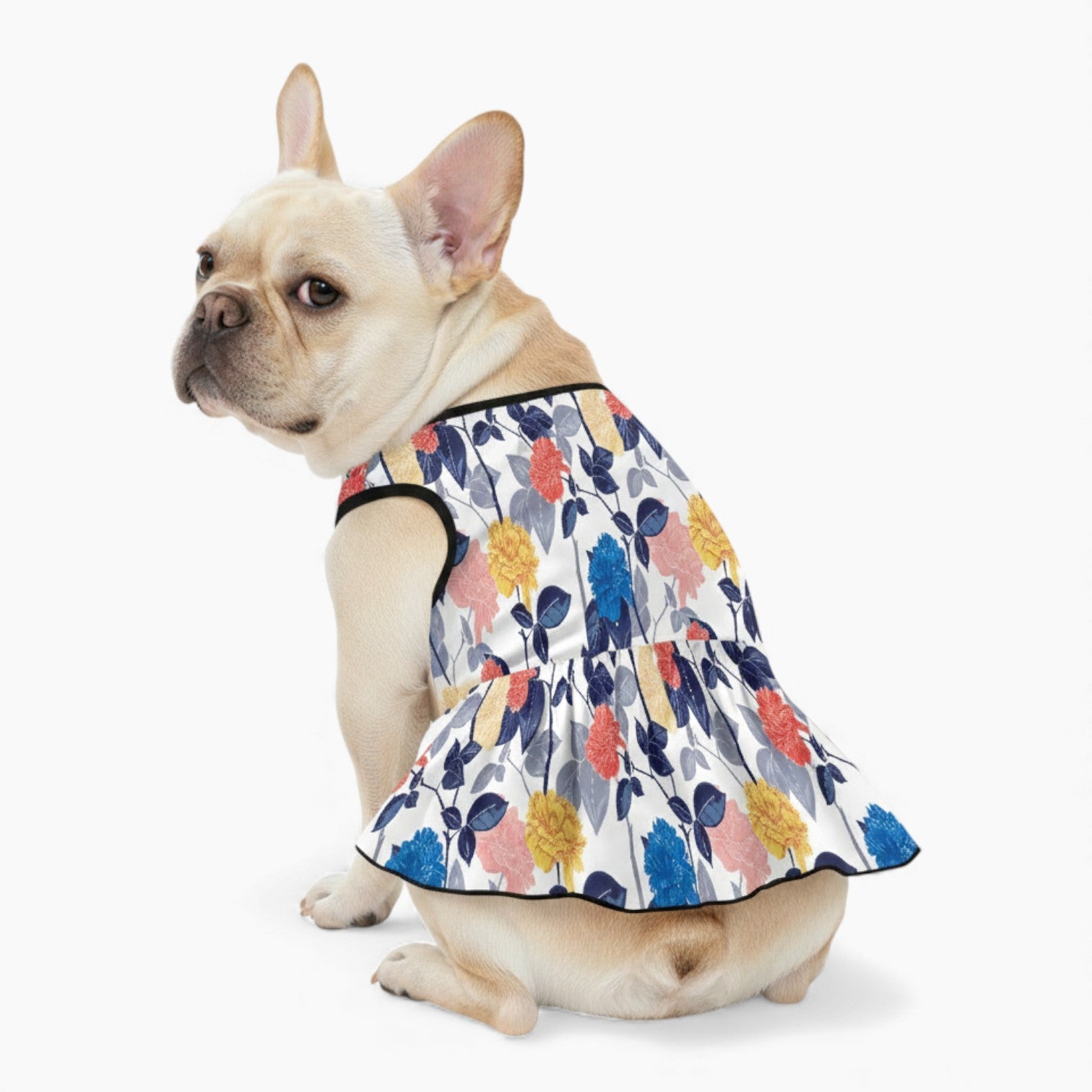 French Bulldog Lucy French Bulldog Dresses For Females Durable Dog Item