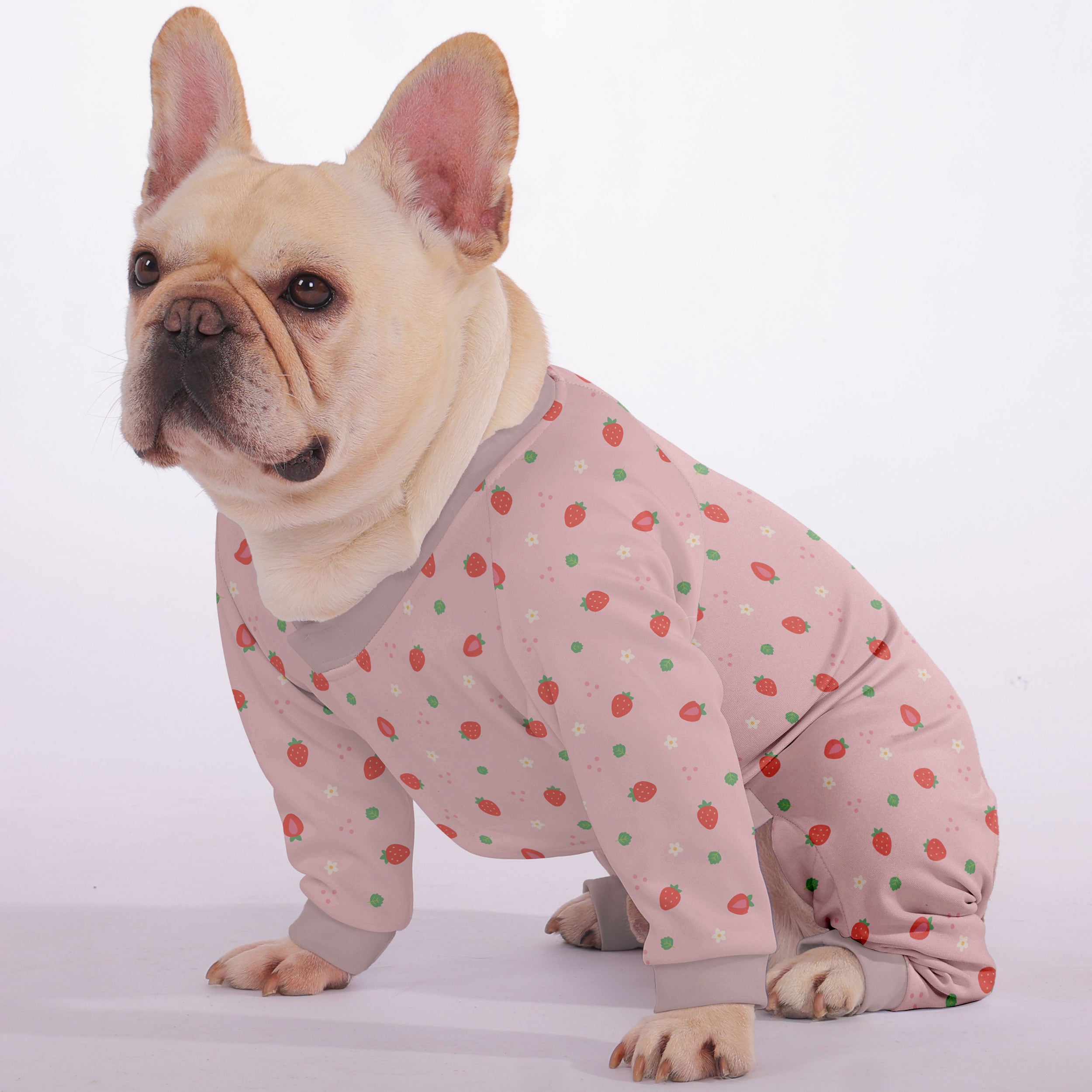 Pet-Lover Premium Bella - Frenchie Pajama for Fashion Lovers