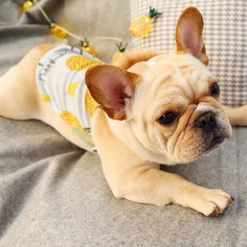 French Bulldog Summer Time Shirt (ws97) Comfy Pet Product