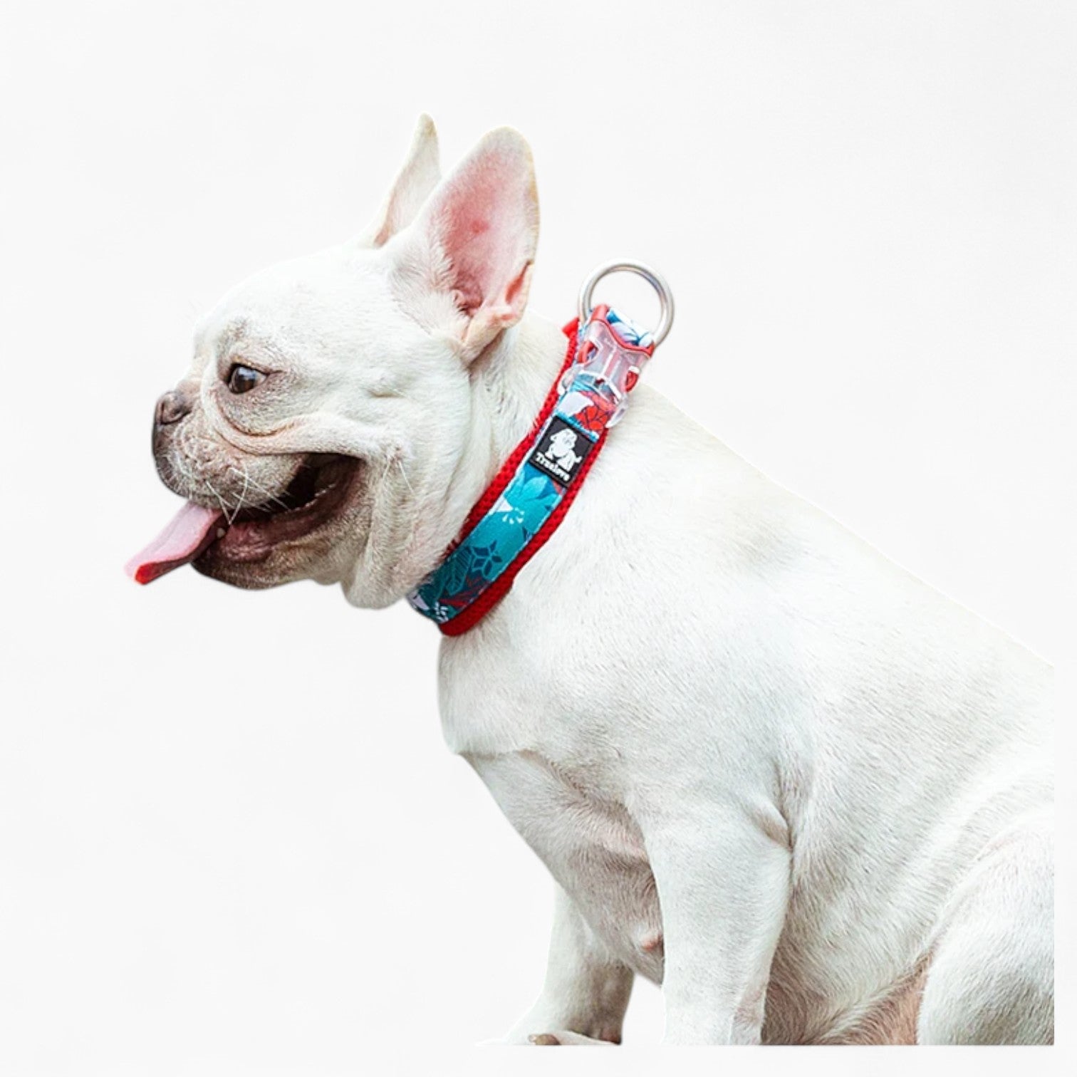 Florish Frenchie Floral Collar – Stylish Durable Cotton Collar