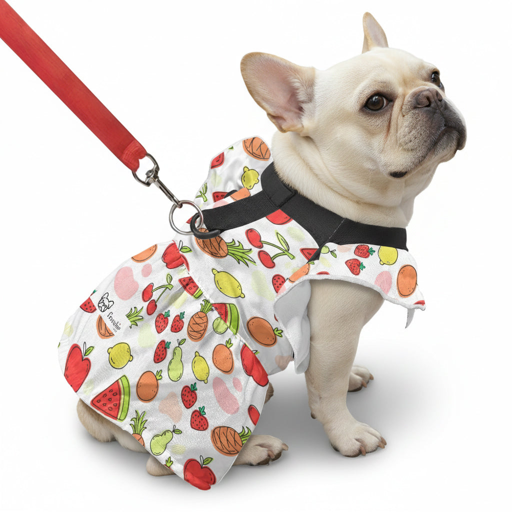 Street-Ready Nasy - French Bulldog Dresses For Females for Fashion