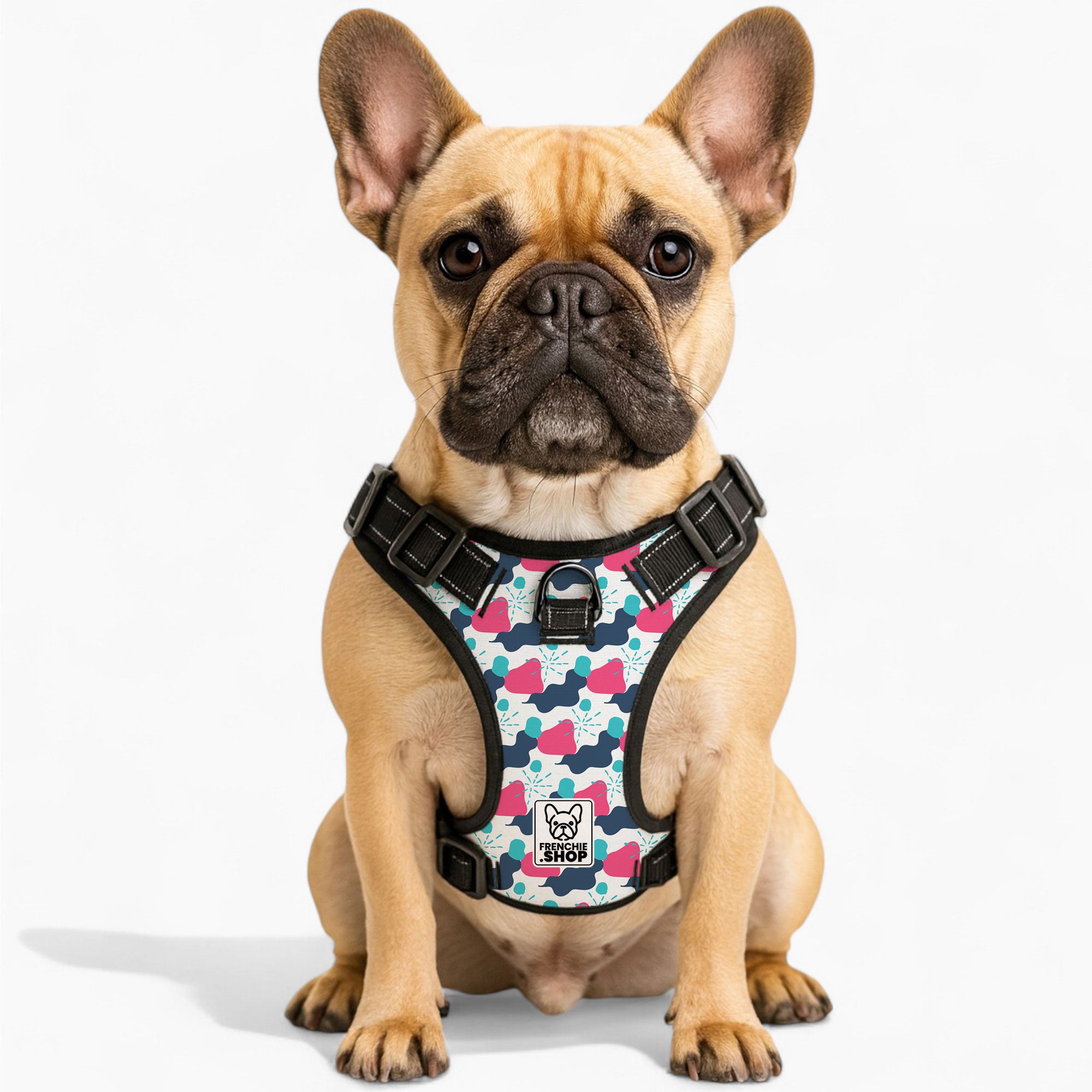 Iris - No-Pull French Bulldog Dog Harness