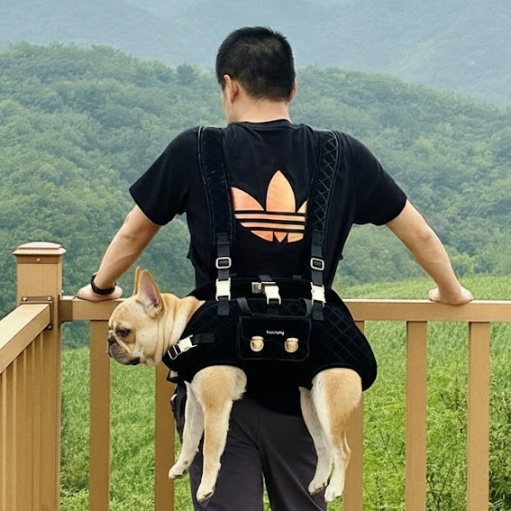 Breathable Travel Dog Carrier For French Bulldogs | Durable Build
