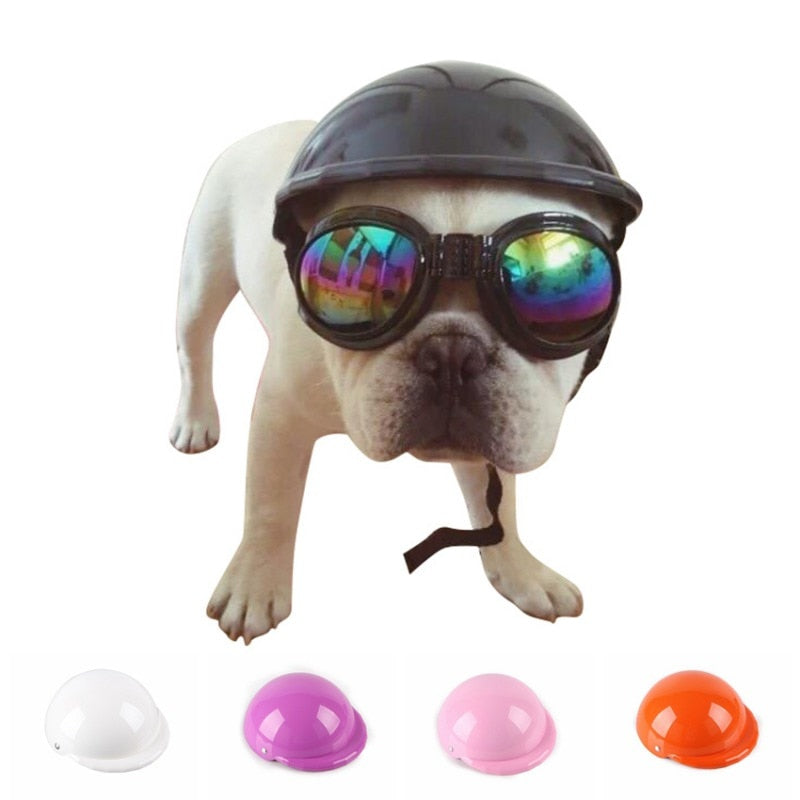 Durable Pet-Lover Ultimate Frenchie Protection Helmet for Home Use